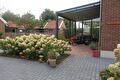 Tuin Noordbroek