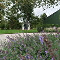 Project Scheemda