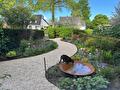 Tuin met slingerpad - poes
