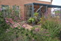 Tuin Noordbroek