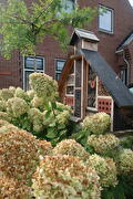 Tuin Noordbroek