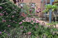 Tuin Noordbroek