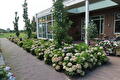Tuin Noordbroek