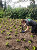 Aanplanten zakelijke klant